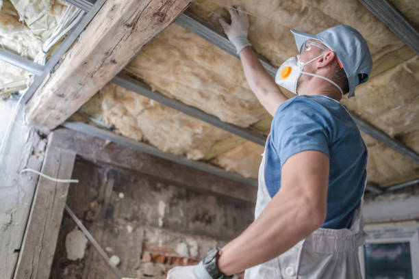 Best Insulation Removal  in East Grand Rapids, MI