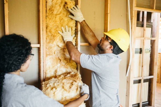 Best Fiberglass Insulation  in East Grand Rapids, MI