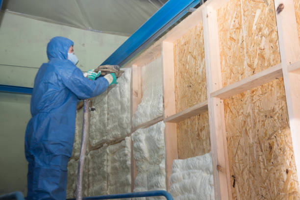 Best Insulation Repair Services  in East Grand Rapids, MI